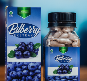 Ekstrak Bilberry - Al Absyar