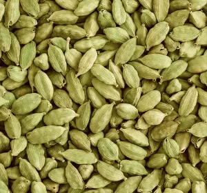 Kapulaga - Al Absyar