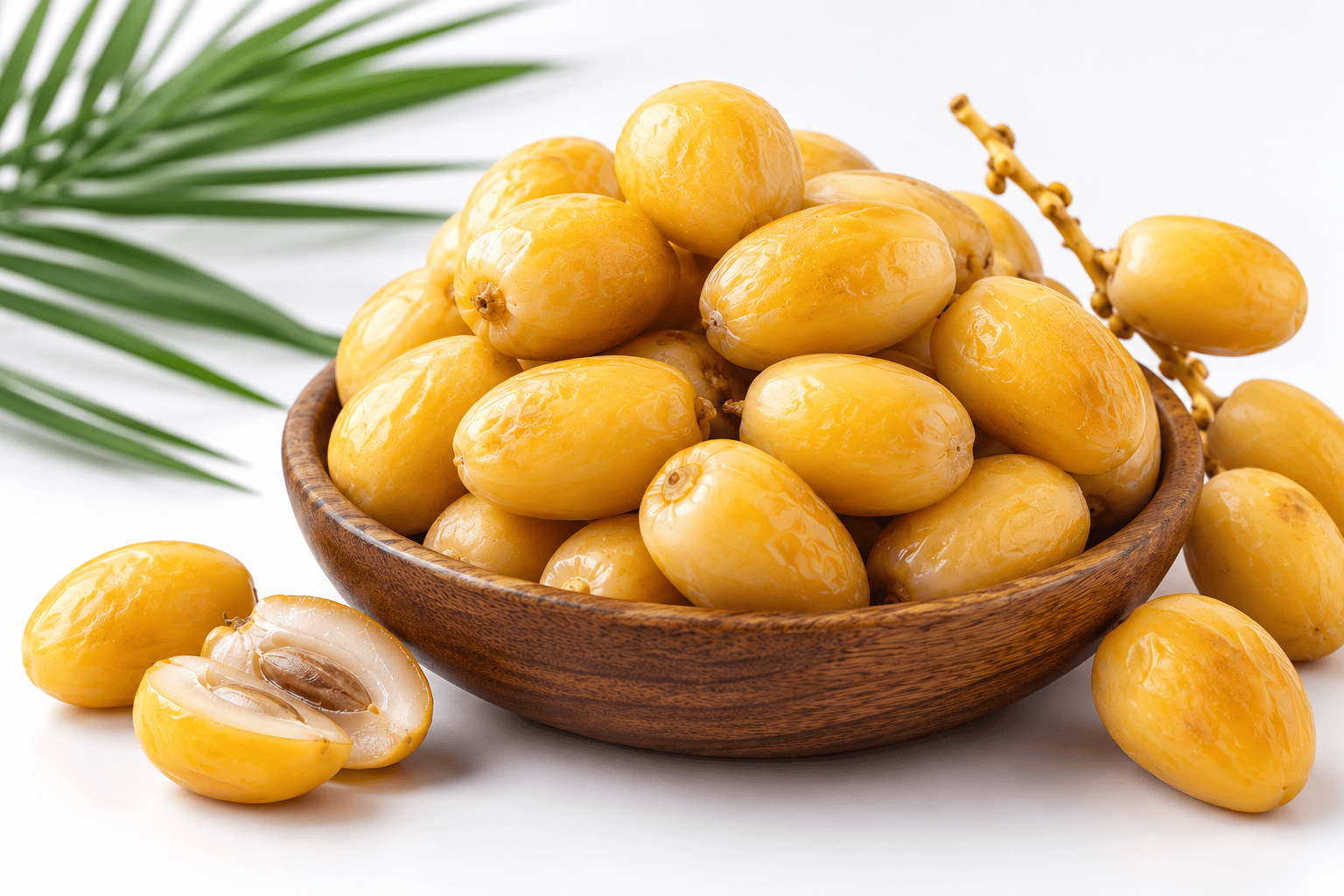kurma-barhi.png