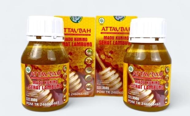 Madu Kuning Sehat Lambung Aman untuk Penderita Maag dan GERD?