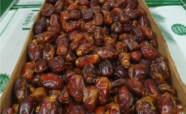 Manfaat Kurma Khalas